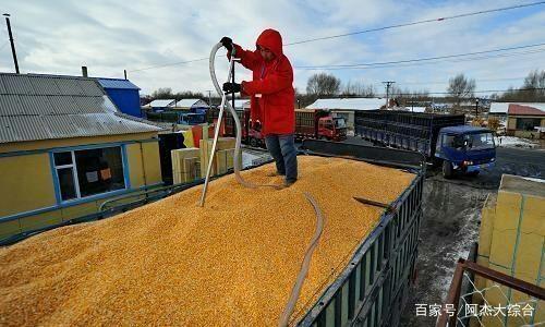 为什么粮食迟迟不涨价?到底是什么原因导致的?看完后心里有数了